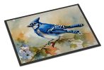 NEW Blue Jay Doormat Front Door Mat Indoor Outdoor Rugs for Entryway, Non Slip Washable Low Pile, 18H X 27W